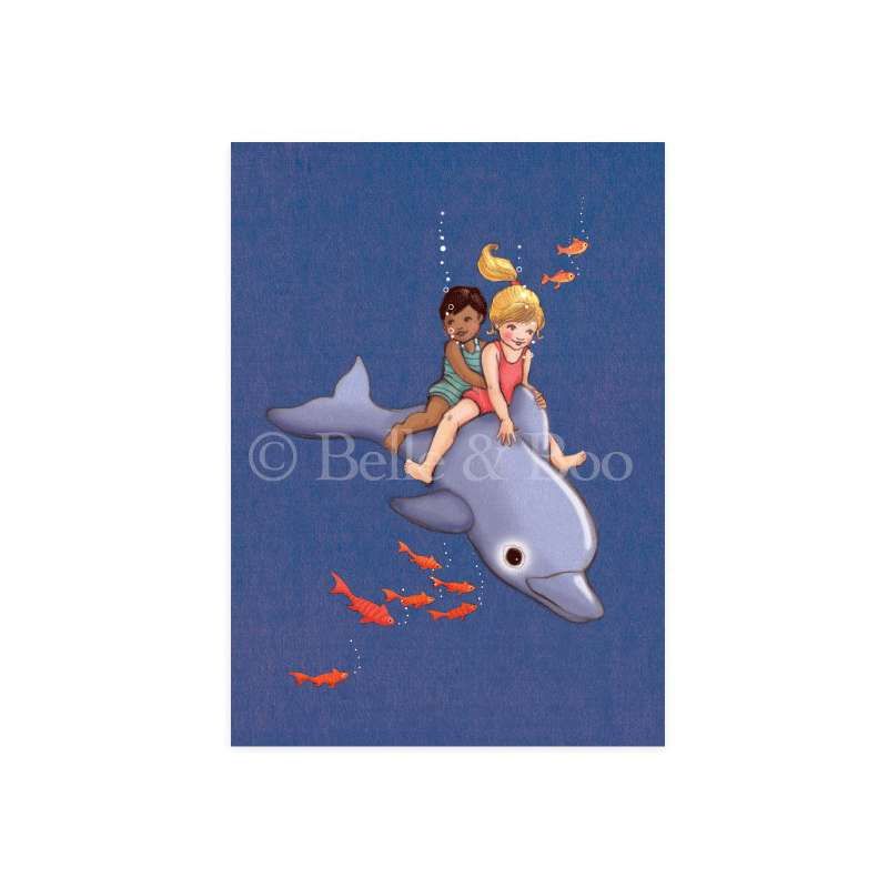 KORT - Dolphin Adventure - Belle & Bo