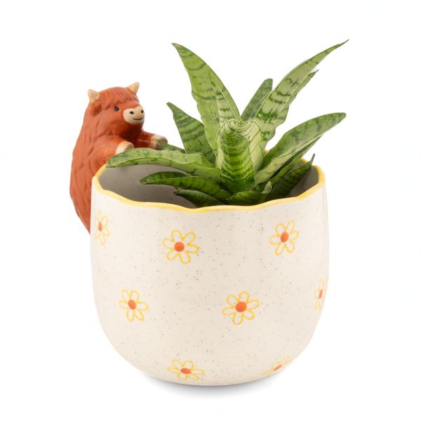 Hovedbilde BLOMSTERPOTTE – Highland Cow på kanten – Sass & ...