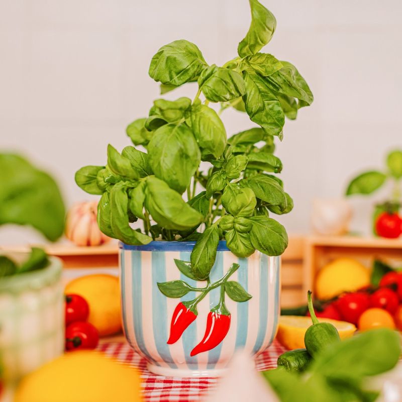 LITEN BLOMSTERPOTTE – Chili med striper – Sass & Belle